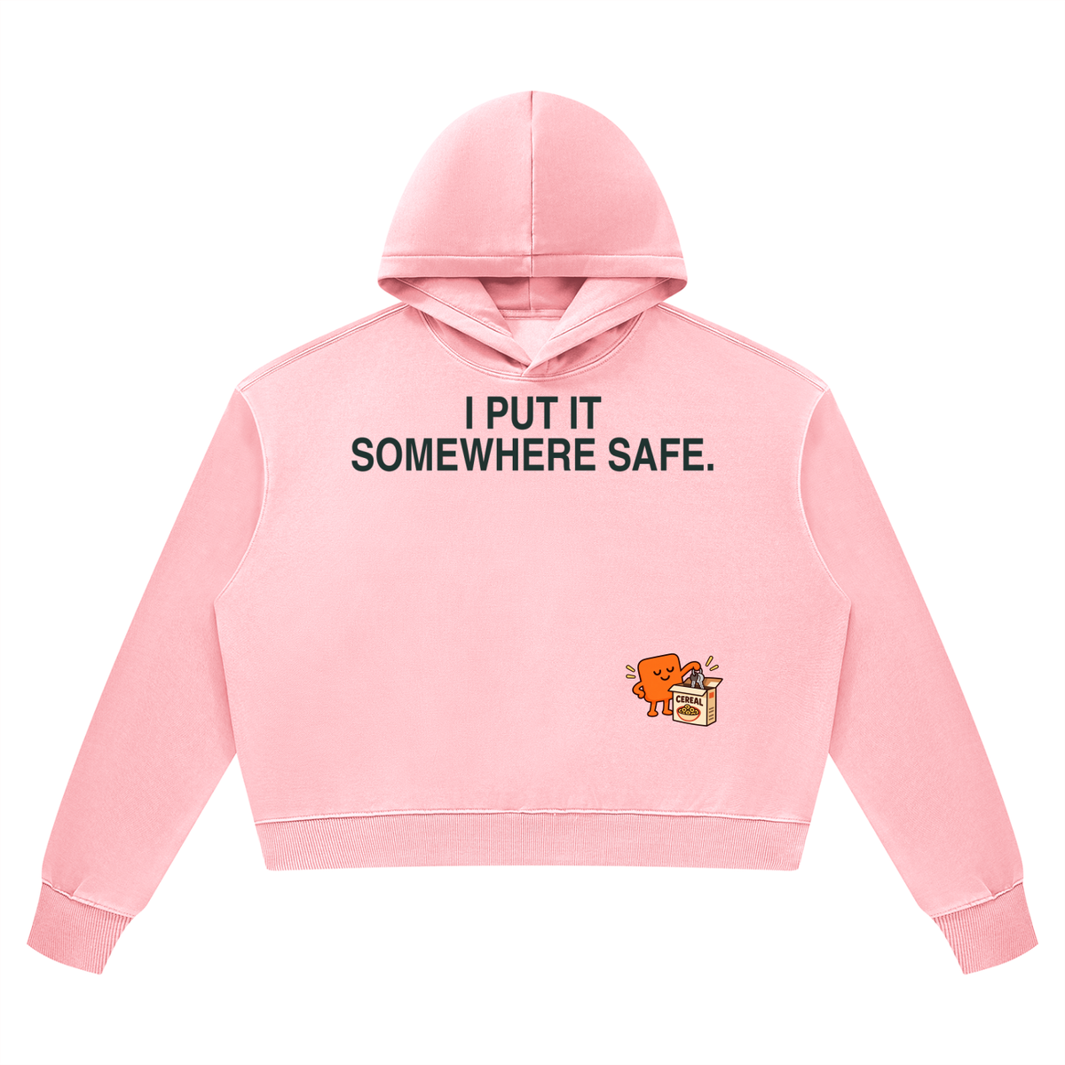 Put It Somewhere Safe Women’s Vintage Hoodie