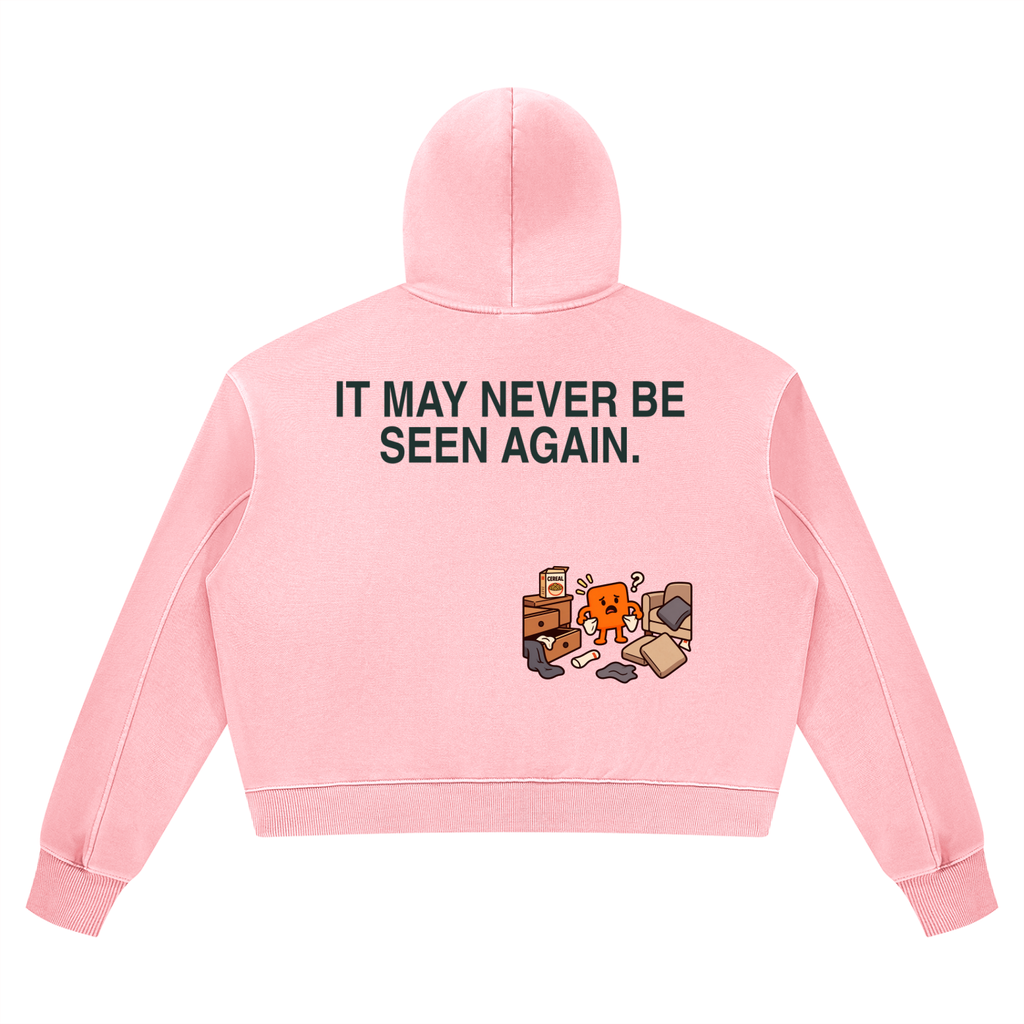 Put It Somewhere Safe Women’s Vintage Hoodie